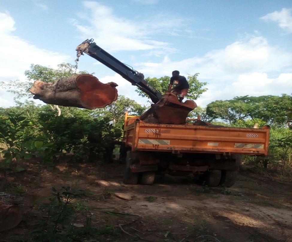 Loading Timber from the farmland